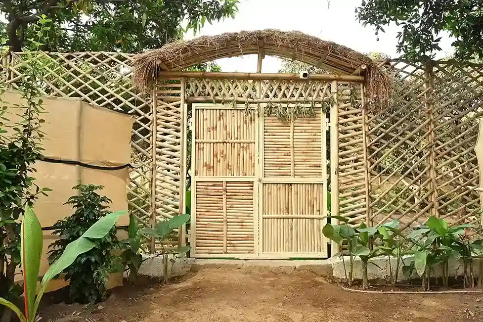 Bamboo Architecture Experience