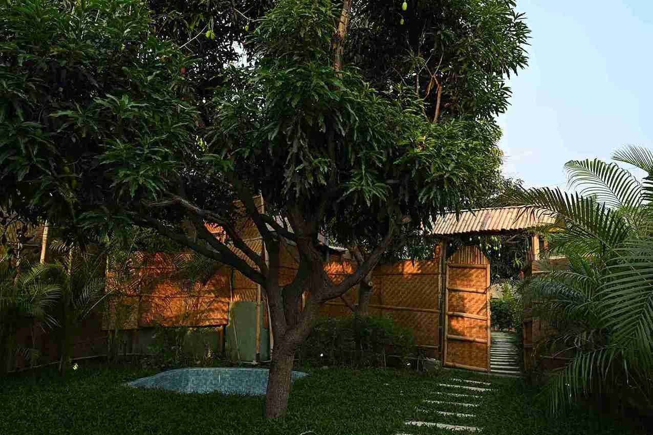 Garden and plunge pool