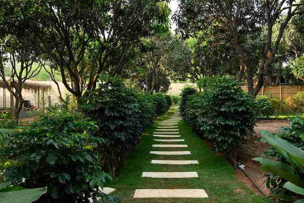 Garden pathway at Seasun
