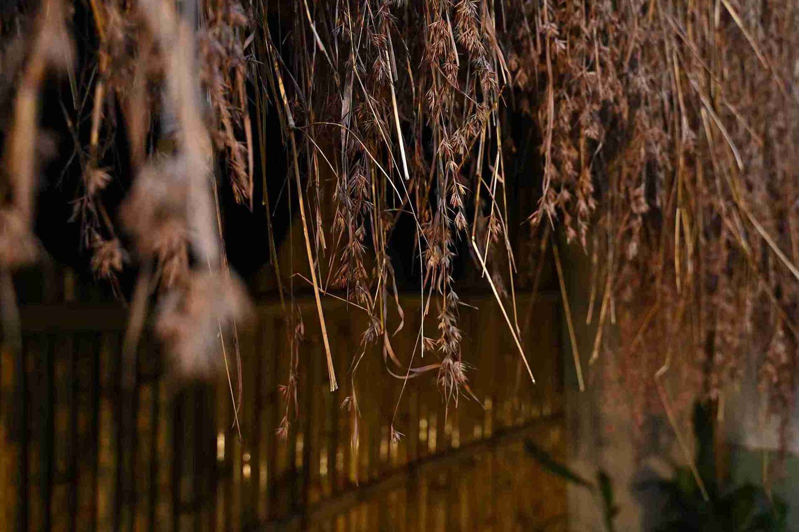 Bamboo shelter retreat